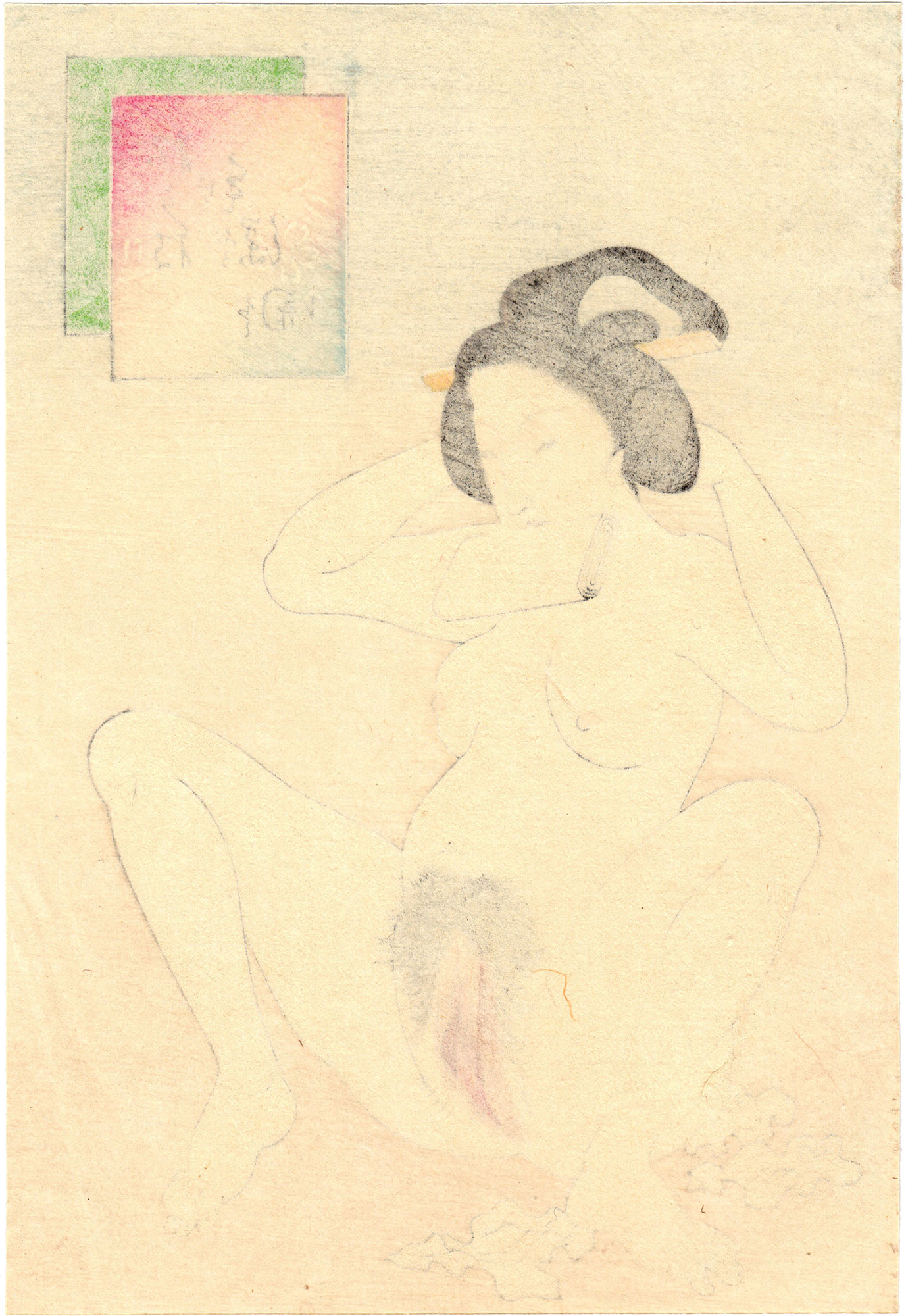 HAIRY VAGINA (Takeuchi Keishu) – 春画 Shunga.shop