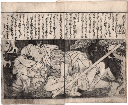 PILLOW BOOK FOR THE YOUNG: FESTIVAL ON THE 28TH OF THE MONTH OF FROST (Takehara Shunchosai)
