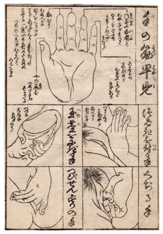 DICTIONARY OF LIES: CHART OF THE MUSCLES OF THE HAND (Koikawa Shozan)