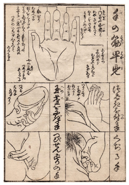 DICTIONARY OF LIES: CHART OF THE MUSCLES OF THE HAND (Koikawa Shozan)